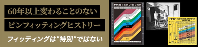 PINGフィッティングヒストリー